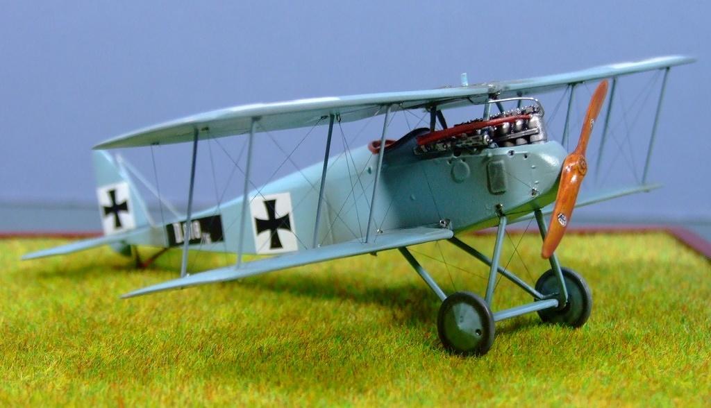 Halberstadt D.II, 1:72