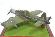 1:72 Dornier Do 355 A12 "Push Me Pull You"