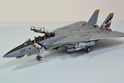 F-14D Tomcat